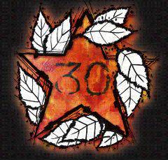 New Model Army : 30th Anniversary Concerts